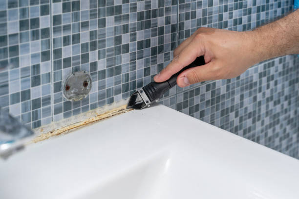 Best Emergency Mold Removal  in Mackinaw, IL