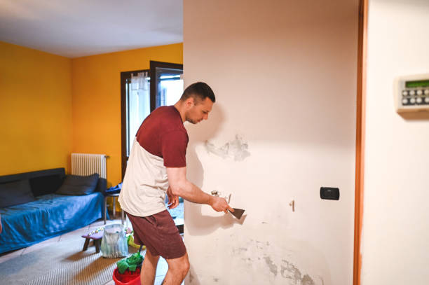 Best Mold Remediation  in Mackinaw, IL